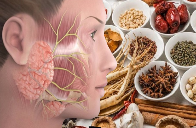 Bài thuốc Đông y điều trị liệt dây thần kinh số 7